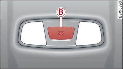 Headliner: Rear interior lights (example)